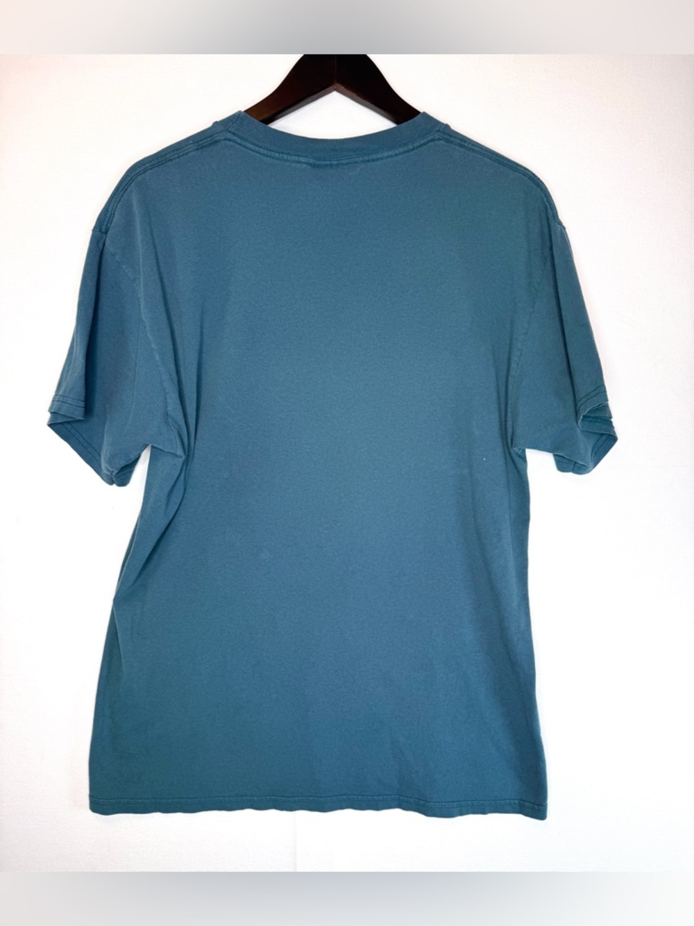 Alaska VTG Graphic T-Shirt bald eagle sz Large “The Last Frontier” TRASHED green - Picture 9 of 9